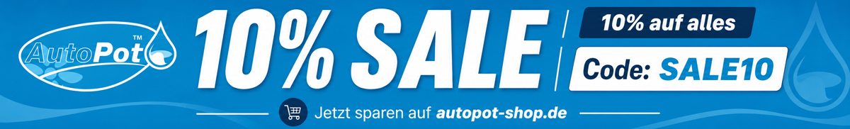 10% Sale Banner