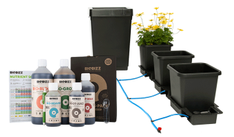 AutoPot und BioBizz – funktioniert das zusammen? - AutoPot und BioBizz – funktioniert das zusammen?