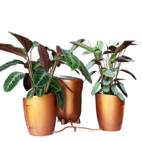 AutoPot Khloris System mit 2x 8,5L Töpfen, Kupfer