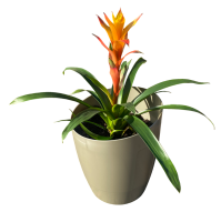 AutoPot Khloris Erweiterungsset 8,5L, Salbei metallic